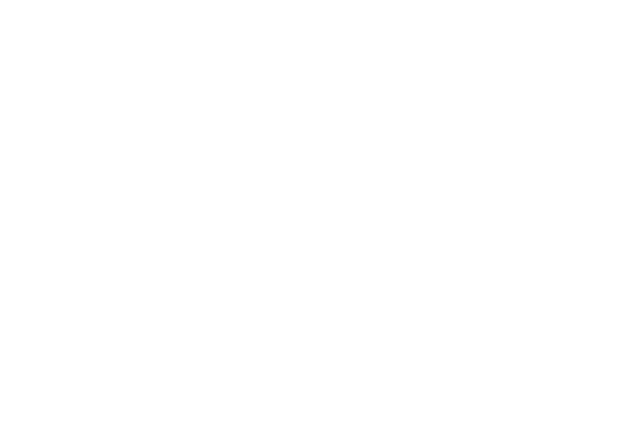 Sprint Garage